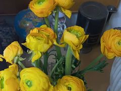 -姑娘手肉夹馍·凉皮·粉面(邗江万达店)