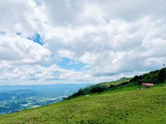 -齐岳山