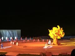 -鼎盛王朝康熙大典实景演出