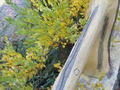 -嵩山少林文化旅游景区