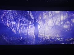 -百美汇影城(LUXE嘉里中心店)