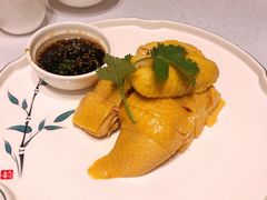 白斩散养草鸡-红城阁·上海味道(四平路店)