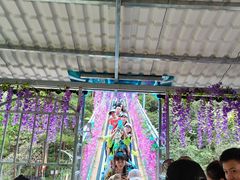 -浏阳石牛寨风景区
