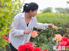 -WE ME 伴山营地·城市露营·团建策划