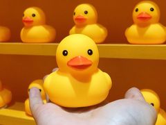 -福州奇幻解压馆(东泰禾旗舰店)