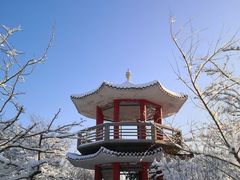 -望溪公园