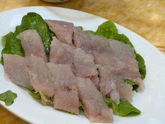 -金砂阿洲鱼册店