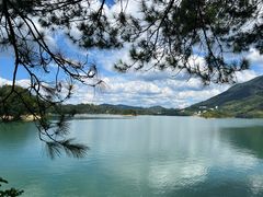 -广州市流溪河国家森林公园