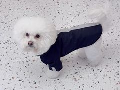 -瑞派康怡24h宠物医院·犬猫医疗中心·微创绝育(瑞景分院)