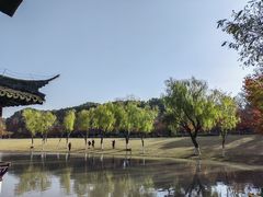 -上海方塔园