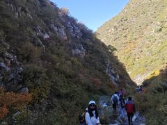 -灵山