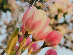 -海棠花溪(元大都城垣遗址公园)