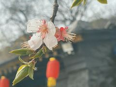 -上方山云水洞