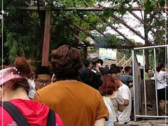 -十渡高山漂流