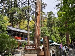 -东天目山风景区