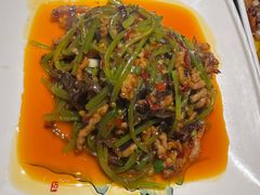 -陈麻婆豆腐(旗舰店)