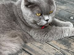 -SeekSeeking咖啡专门店(堰塘街店)