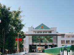 -打洛口岸