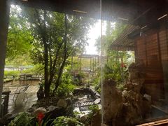 -谷咖啡·鲜花绿植花园餐厅