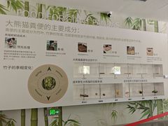 -秦皇岛野生动物园