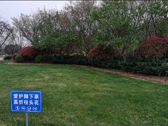 -尚贤河湿地