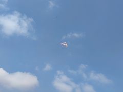 -武汉紫薇都市田园