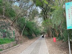 -上海佘山国家森林公园西佘山园