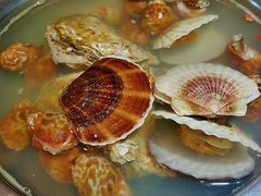 扇贝-圣罗巴海鲜烤肉自助(佳兆业店)