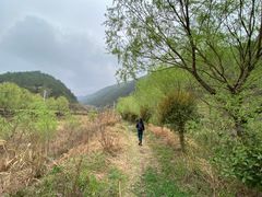 -武汉姚家山旅游景区