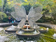 -杭州黄龙洞