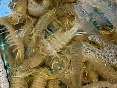 -港华水果街(港华广场店)