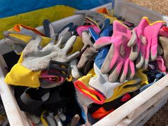 -前小桔亲子创意农场·草莓采摘·露营烧烤