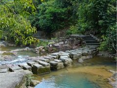 -广州白江湖森林公园