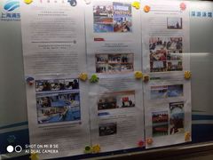 -小海豚国际游泳培训中心(浦东源深体育中心店)