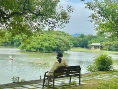 -江心屿景区