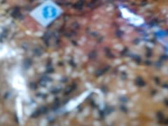 -龙兴·动物奶油生日蛋糕(龙北店)