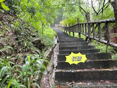 -南山植物园