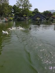 -玄武湖景区-情侣园游乐场