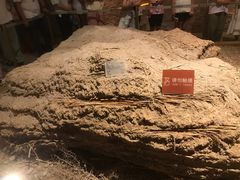 -敦煌市博物馆