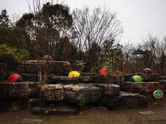 -苏州太湖国家湿地公园