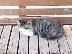 -意大利农场度假村