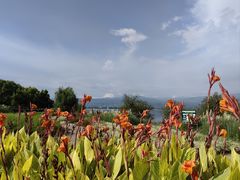 -西昌邛海湿地