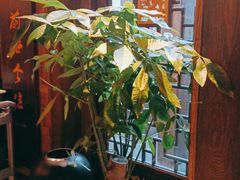 -小龙坎火锅(湖滨银泰in77店)