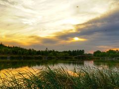-马家湾湿地公园