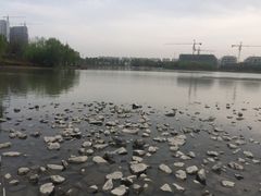 -南翔镇银翔湖公园