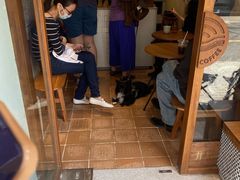 -Radar Coffee(思南路店)