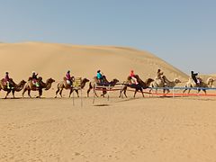 -银肯塔拉沙漠生态旅游景区