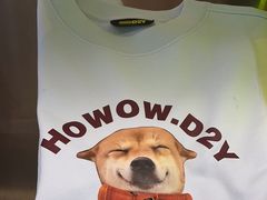 -HOWOW·D2Y(柏威年店)