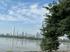 -深圳湾公园(南山区)