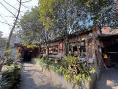 -青城甲(青城山店)